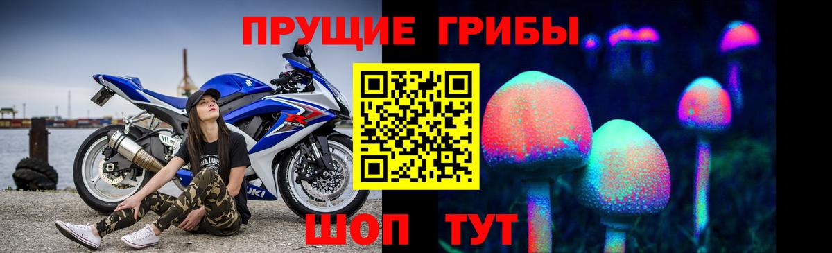 магазин    Вход с VPN  Гагарин  Псилоцибиновые грибы ЛСД 